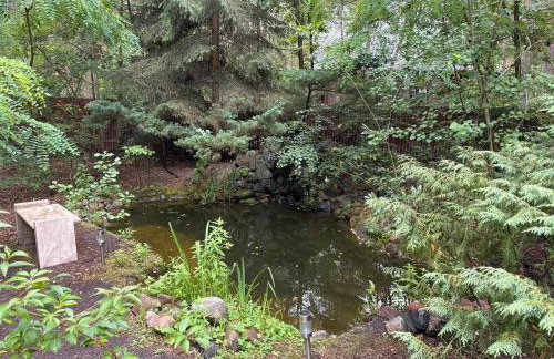 Leśna Chata Arciechów - Foto 25