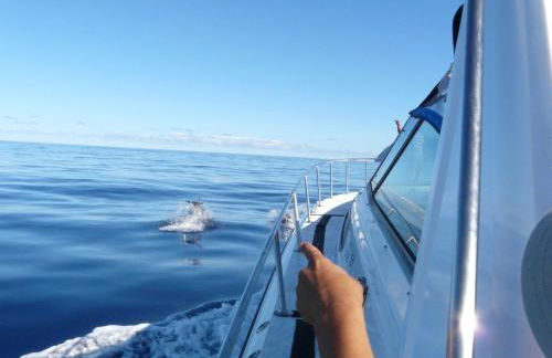 Fajazinha Cottage - Foto 57