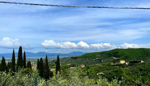 La casa della Bice - Foto 2