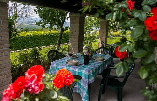 La collina dei ciliegi - Foto 30