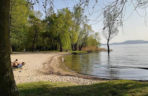 House of Camellias - Ground Floor with Garden - Foto 52