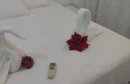 Tree Bies Resort Subaúma - Apartamento particular com Parque Aquático Infantil - Foto 14