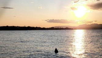 Casa al mare 2 - Foto 5