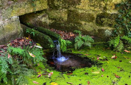 Torrinheira ~ Family Pool Villa and Woods - Foto 15