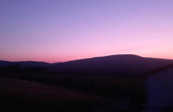 Butterflies Rest - Foto 33