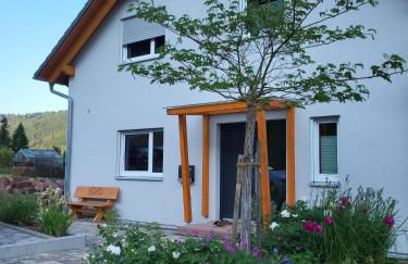 FeWo am Neckarsteig mit Anbindung an Heidelberg - Photo 11