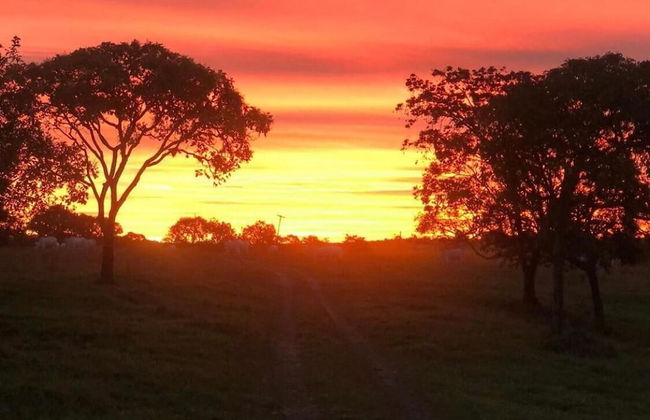 Sítio Refúgio do Alto - Photo 75