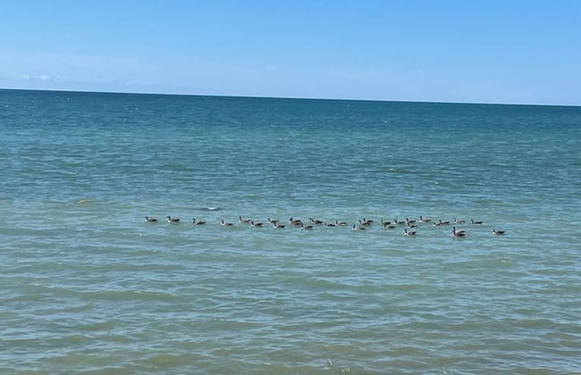 Waterfront W Private Lake Access Indoor Fireplace - Foto 21