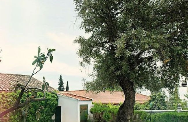 Villa Los Rosales - Foto 9