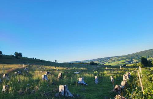 Ferienhaus Birx - Foto 50