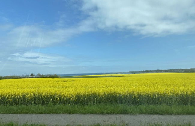 Welcoming Holiday Home by the Baltic Sea - Foto 16