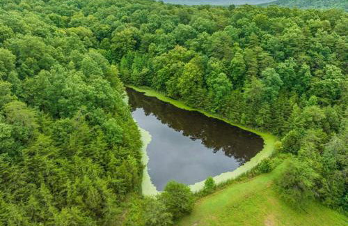 1 600 Acres Pool Pond Hidden Treasure RRG - Foto 34