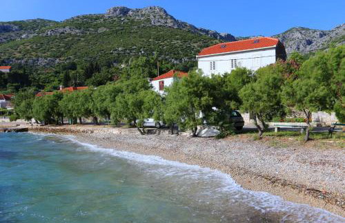 Apartments by the sea Viganj, Peljesac - 10140 - Foto 1