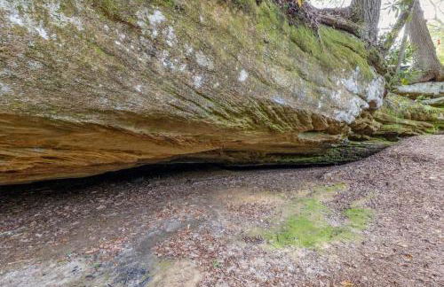 Hemlocks Over Muir in Rogers KY - Hot Tub & WiFi - Foto 24