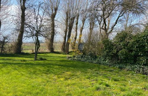 Kätchens Glück - Foto 26