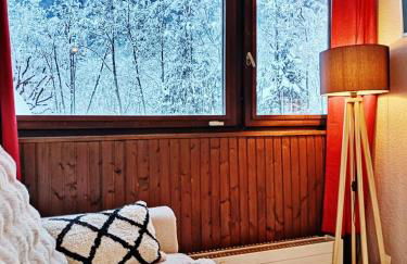 Chamonix : Studio intime au bord du lac des Gaillands et pistes de ski - Photo 10