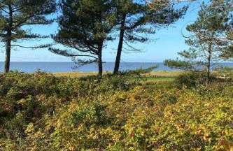 Apartment Altes Pastorenhus by Interhome - Foto 37