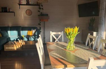 Gołąbek Stronie Śląskie - Foto 3