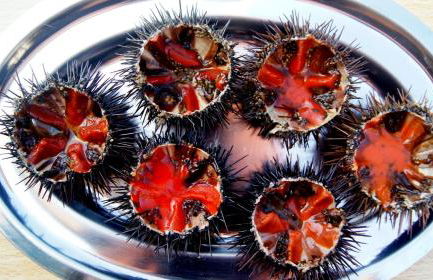 Lozari Beach - Foto 60