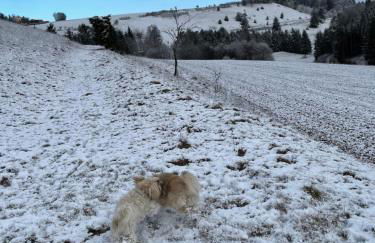 Ferienwohnung Aussicht, Monheimer Alb, Altmühltal - Foto 70