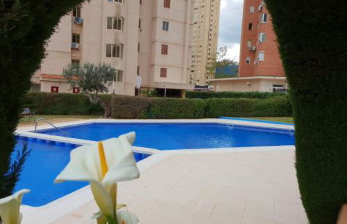 En el cielo de Benidorm - Alteanos V - Foto 39