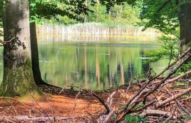 Classy Apartment in Bad Sachsa - Foto 23