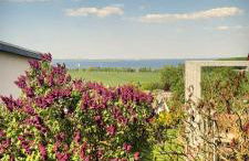 Ferienhaus in der Hansestadt mit Blick auf Ostsee - Foto 1