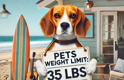 Direct Ocean Front 3BR/2BA Dog Friendly - Foto 33