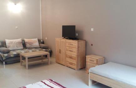 Agroturystyka Pod Klonem - Foto 39