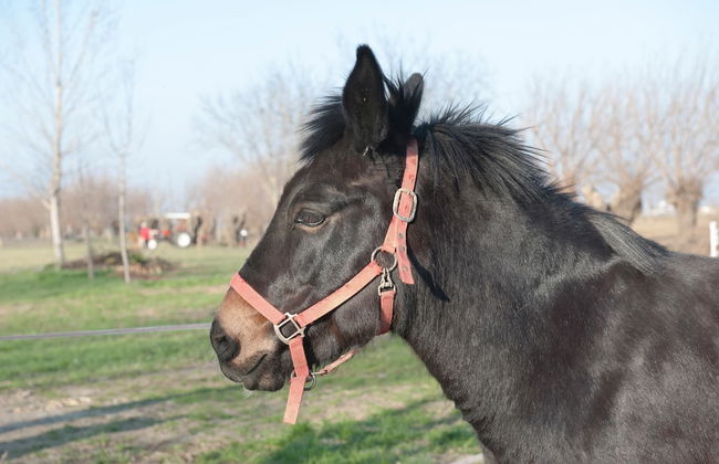 Agriturismo Arte Contadina - Photo 21