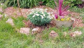 furnished apartment with a garden - Foto 2