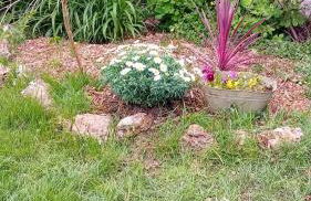 furnished apartment with a garden - Foto 2