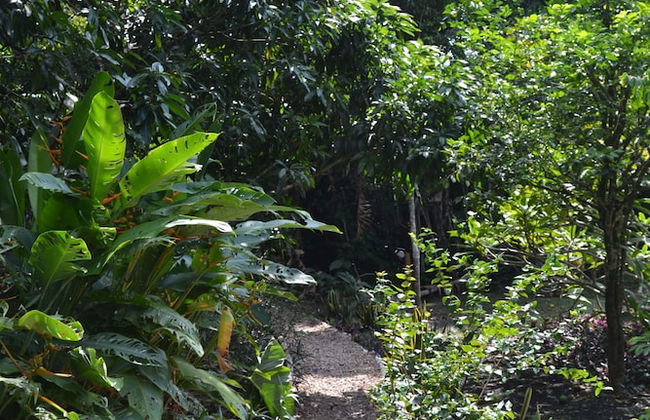 Licensed 2 Bedroom Cabin Close to San Ignacio, Local Dining, and Adventure Tours - Foto 19