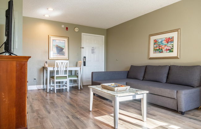 Palm Studio by Orlando Short Term - Foto 8