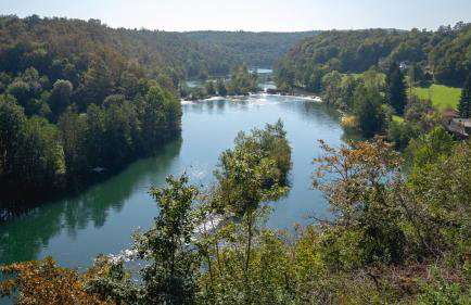 MREŽNICA - ZELENA BAJKa - Foto 1