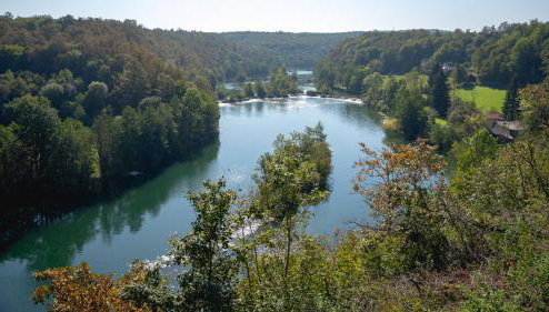 MREŽNICA - ZELENA BAJKa - Foto 1