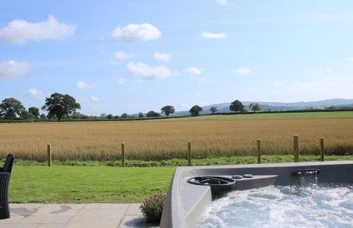 Cherry Blossom - Foto 19