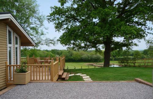 Wattles-E4527 - Foto 9