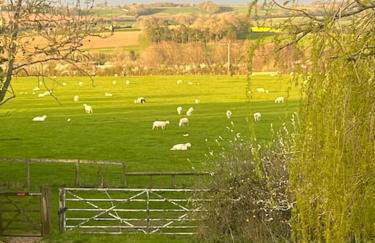 Cotswold Retreat - Photo 19