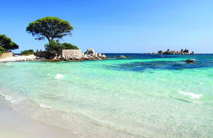 Appart bord de mer avec piscine - Foto 23