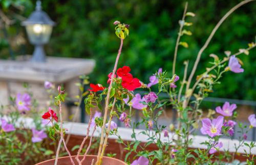 Liogerma Art Deco Villa - 5 min drive to Lassi - Foto 36