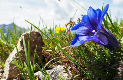 Apartment Kofelblick - Foto 36