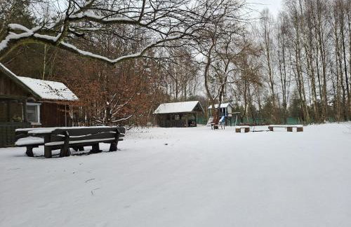 Dom Pod Brzozami Lipinki Bory Tucholskie basen - psy, koty mile widziane! - Photo 43