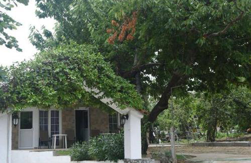 Villa Leonidas KOUTSOUPIA - Foto 12