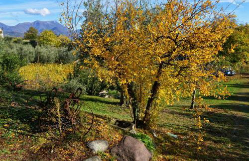 Antiche Mura Casa Vacanze - Foto 43