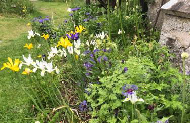 Thistle Cottage, CrannachCottages - Foto 16