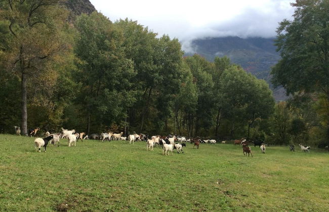 Casa Rural l'Era de Ferro - Photo 46