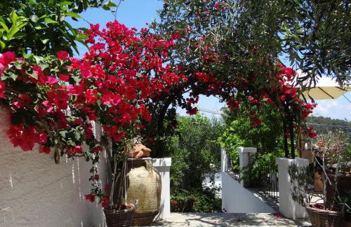 Harry's Studios - Photo 55