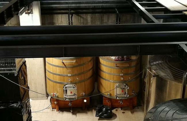 Mount Etna Winery Visit - Photo 7