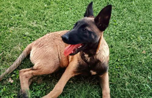 Il Casale di Lucullo - Foto 55